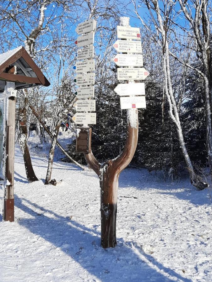 Apartman S Vyhlidkou Horní Maršov Eksteriør billede